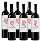 Bei einer optimalen Trinktemperatur von 16-18°C passt der Barossa Shiraz Portrait perfekt zu gebratenem Fleisch, Wild- oder Lammbraten