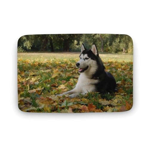 Č  L  oX}bg \tg􂦂 z  փ}bg  O   \ ~ Aj LN^[ @}bg   ʏ