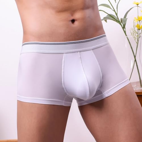 Mens Underwear Microfiber Performance Boxer Briefs for Men Mid-waist Skin-friendly Breathable Lightweight Panty4
