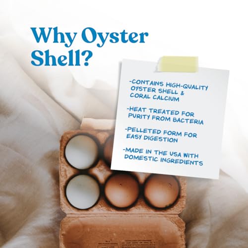 Manna Pro 1000210 Crushed Oyster Shell | Egg-Laying Chickens thumb #2