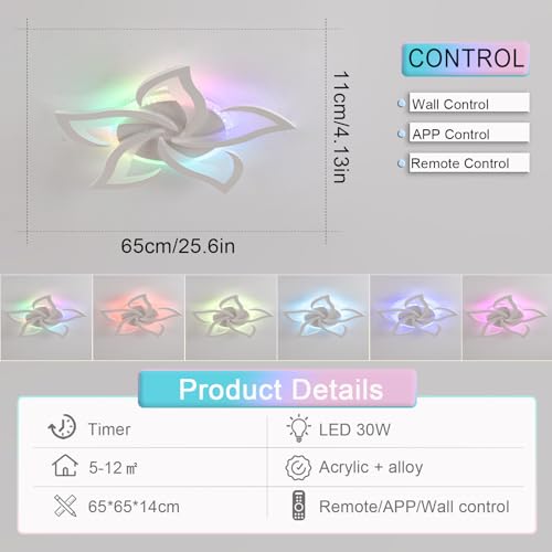 Plafonnier RGB dimmable avec télécommande et application pour salon