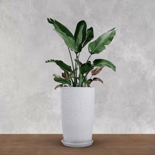 Image of BonKaso 14 inch White Flower Pot - Tall, Durable & Lightweight Polymer Tower Planter for Indoor & Outdoor Use: Home, Office, Garden & Balcony (Gamla /Gamale)