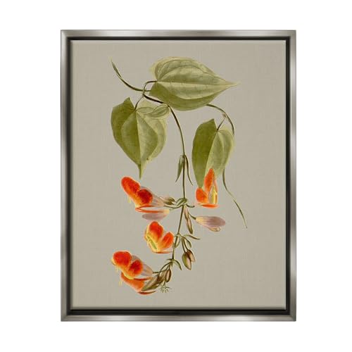 Stupell Industries Vine with Red Blossoms Framed Floater Canvas Wall Art by Vision Studio