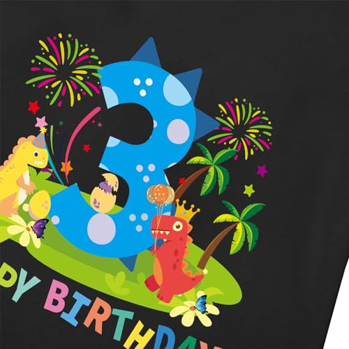 Toddler It’s My 2nd Birthday Tee Kids Third Happy Birthday Party 3rd Clothes Tops Tee Gift for Boy & Girl3