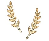 Stainless Steel Ear Crawler Earrings, Olive Leaf Stud Jewelry with Push Backs, By Regetta Jewelry