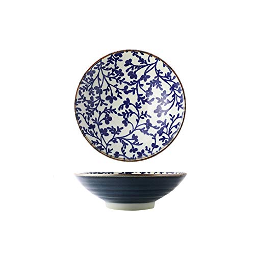 Porzellanschalen, 24,1 cm japanische Nudelschüssel, große Ramenschüssel, Mikrowelle, Keramikgeschirr, Salat, Reis, Obst, Suppenschüssel (Farbe: D) (Farbe: Argento)