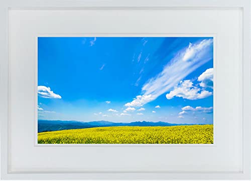 A.P.J WITH FOTO 額縁付き インテリアアート A3 菜の花畑/Rape field