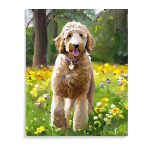 DIY Adult Paint by Number Kits Goldendoodle Dog for Adults Beginners,Easy Acrylic Paint by Number,DIY by Numbers Kits on Canvas 20x24inch(50x60cm) Frameless