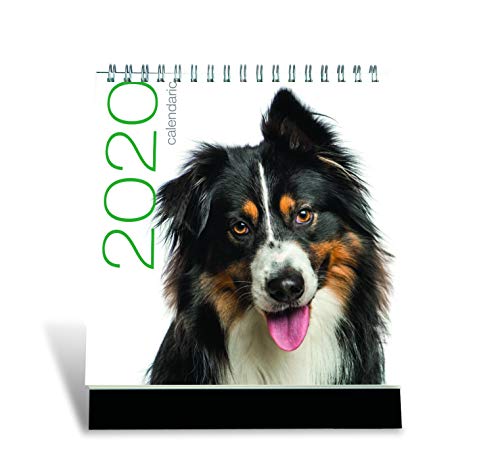 Calendari E Articoli Da Scrivania Guida Acquisto Prezzi