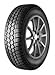 Produktbild Mastersteel Winter + IS-W XL - 205/50R17 93H - Winterreifen
