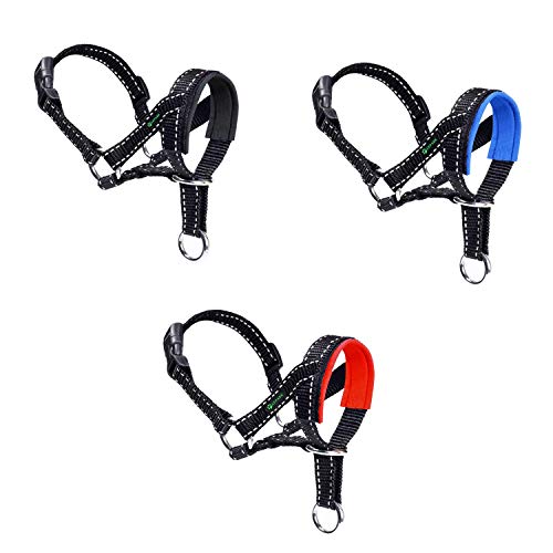 ILEPARK Hundehalfter Mit Reflektierendem Riemen, Halfterhalsband Für Hunde, Verstellbar Und Einfach Zu Kontrollieren. (M,Schwarz)