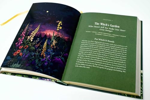 Image of Enchanted Plants: A Treasury of Botanical Folklore and Magic