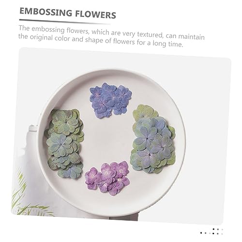 Flores Secas Prensadas para Manualidades DIY 30 piezas miniatura 3