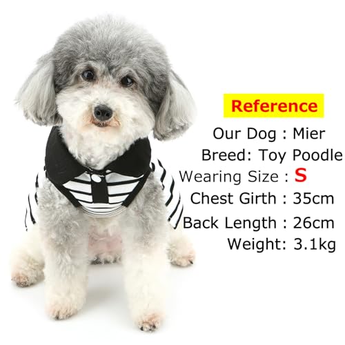 Zunea Striped Dog Dresses for Small Dogs Girl Summer Princess Dress with D-Ring Soft Breathable Puppy Clothes Sleeveless Pet Dog Cat Skirt Doggy Chihuahua Toy Poodle Apparel M - Image 3