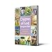Children of God Storybook Bible