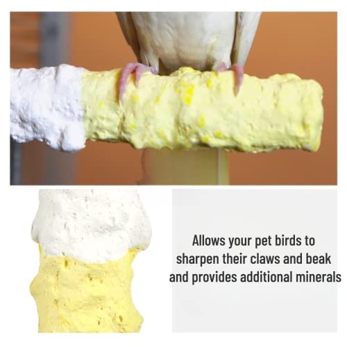 Image of Bird Perches for Parrots-Cuttlebone Calcium Perch Standing Cuttlebone Holder for Birds Cage Accessories Color Randomly (Small)