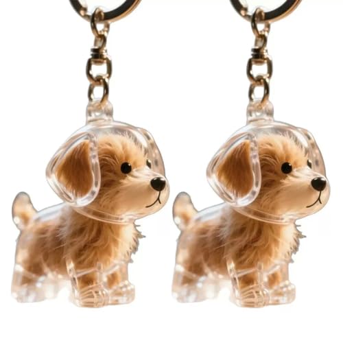 JUGUTA 2 Piezas Llavero De Coleccionista De Pelo De Perro, Caja De Almacenamiento Conmemorativa De Pelo De Mascotas, Llavero Transparente Lindo, Caja De Recuerdo De Pelo De Mascotas Para Perro