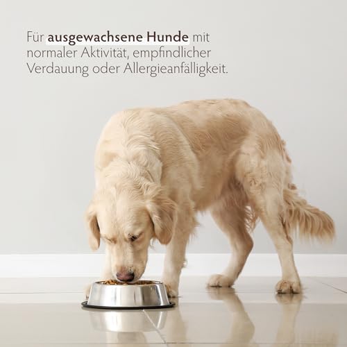 Grandorf - Kaninchen und Pute - Hypoallergenes Nassfutter - Alle Rassen Hundefutter 6 x 400 g – Bild 3