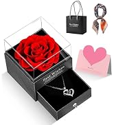GOICC Preserved Rose with Necklace Heart I Love You in 100 Languages Birthday Gift for Her Mom Gi...