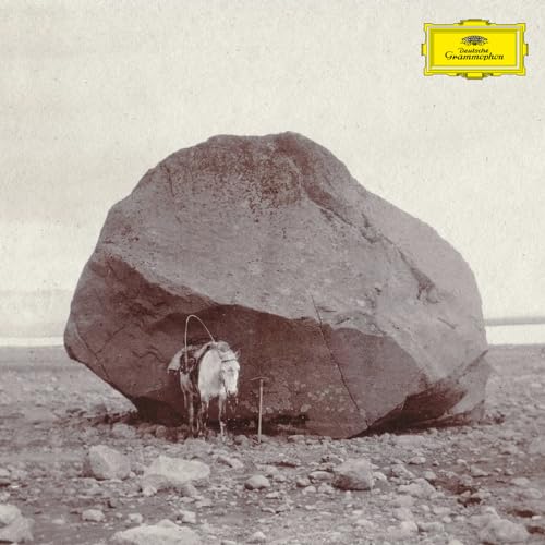 Snorri Hallgrímsson