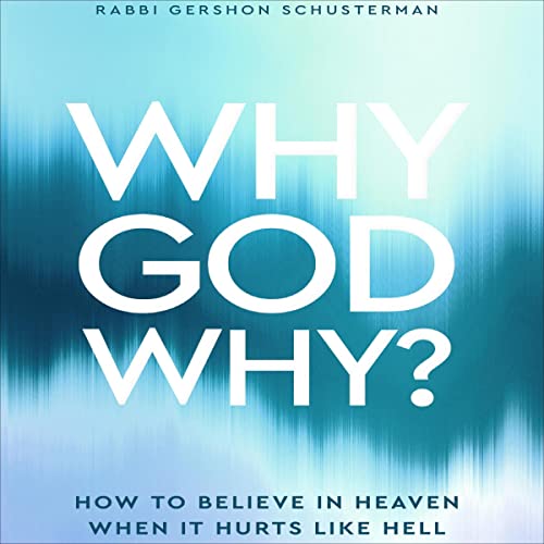 Why God Why by Rabbi Gershon Schusterman episode artwork