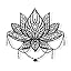 Lotus Flower