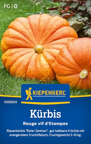 Kiepenkerl Kürbissamen Roter Zentner 1008600 - Riesenkürbis - haltbare Früchte - Fruchtgewicht 5-10 kg - Samen Gemüse Gemüsesamen Saatgut Gemüsepflanzen