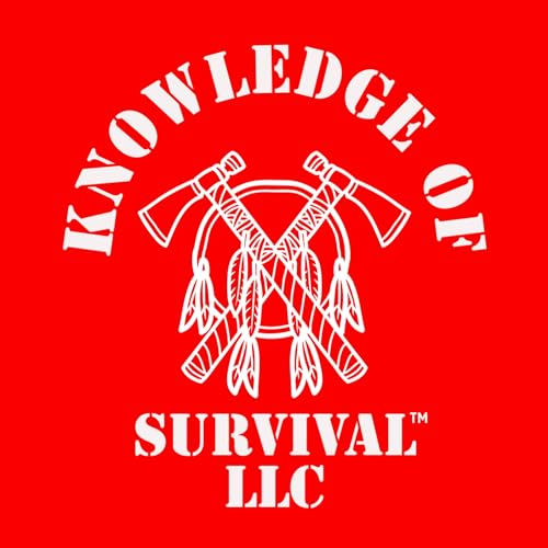 The Swarm (Spoiler alert) Podcast Por  arte de portada