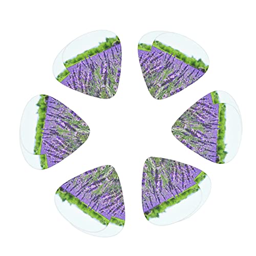 Pack de 12 médiators violets pour guitare électrique Guitare acoustique Diverses guitares - Les Beatles, Paul McCartney, John Lennon, RIngo Starr, George Harrison Pack de 12 médiators violets pour guitare électrique Guitare acoustique Diverses guitares