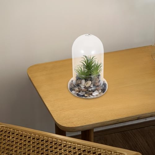 Botellas de vidrio de borosilicato COLLBATH para terrarios y micropaisajes con agujero de 8mm 8