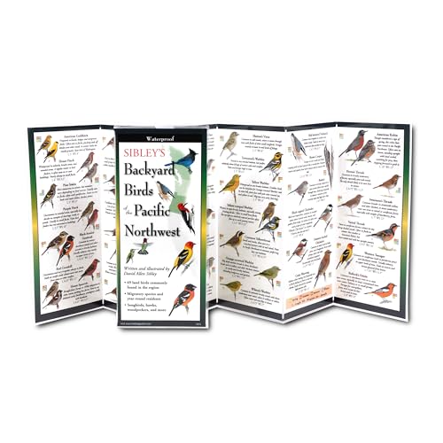 Earth Sky + Water FoldingGuide - Sibley's Backyard Birds of
