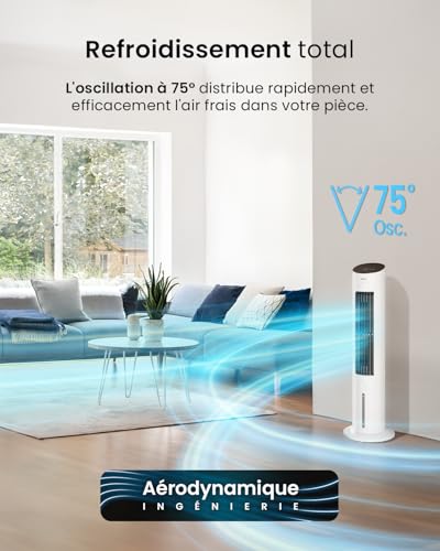 Vue 5