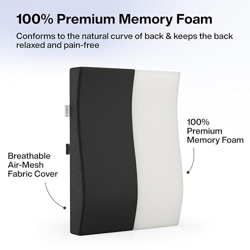 FOVERA Memory Foam Large Back Support Cushion for High Back Chair - Provides Complete Back Support, from Lower Back to Shoulders - Relieves Back Pain & Reduces Spine Pressure (Mesh Black)