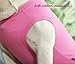 Sychien Dog Pink White Shirts,Soft Blank Cotton Tee-Shirt for Boy Girl Dogs,Plain XSmall Cat Clothes,XS Pink White