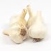 Gourmet Metechi Garlic Bulbs Hard Neck - 4 Bulbs - For Fall Planting - Non-GMO