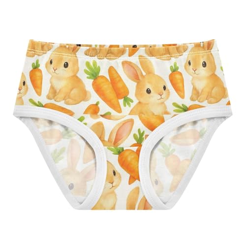 Joisal Cotton Toddlers Underwear Floral Cute Rabbits Carrots White Cute Panties Girl Bright Briefs Girls Undies 2t
