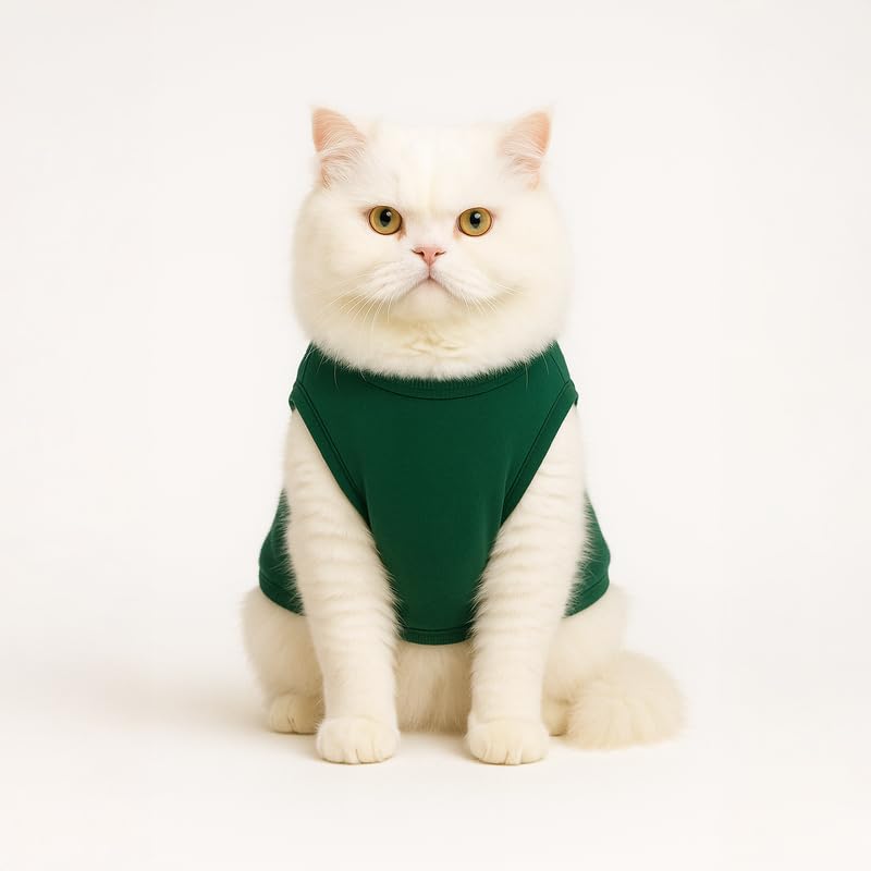 Image of Thunder Tails Printed Cat T Shirt for Cats and Kittens | Breathable Cotton Cat Clothes with Round Neck | Pet Dress for Small to Large Cats Apparel (Nap Hard, Play Harder, L)