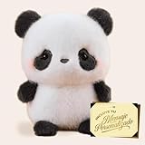 Premium Moments Peluche Panda Tierno Dia del Padre · Regalo Romántico con Peluche a Elegir + Tarjeta con Dedicatoria Personalizada · Detalle Original y Emocional para Sorprender