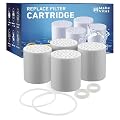 20 Stage Shower Filter Replacement Cartridge Reduces Chemicals & Chlorine, Restores Ph Balance, Strong Nails, Shimmering Hair & Glowing Skin With High Output 4 Pack