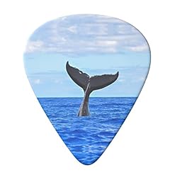 Whale Tail Lot de 6 médiators pour guitare acoustique, guitare électrique, basse, ukulélé – fin, moyen et épais. - Les Beatles, Paul McCartney, John Lennon, RIngo Starr, George Harrison Whale Tail Lot de 6 médiators pour guitare acoustique, guitare électrique, basse, ukulélé – fin, moyen et épais. – Image 3