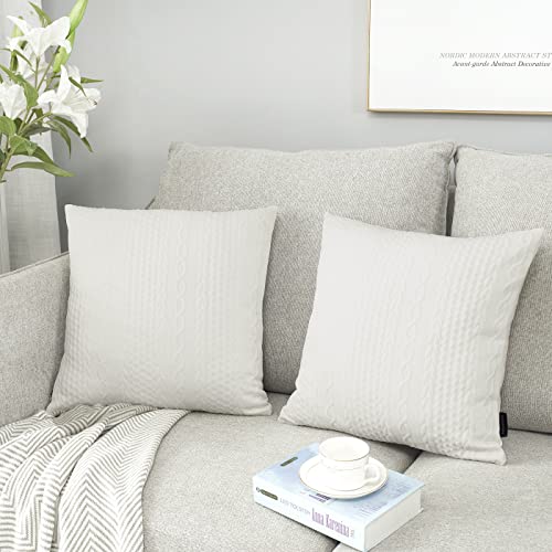 Booque Valley White Throw Pillow Covers, Pack Of 2 Super Soft Elegant Modern Embossed Patterned Cushion Covers Decorative Stretchy Pillow Cases For Sofa Bed Car Chair, 18 X 18 Inch(Pure White) #TOP2