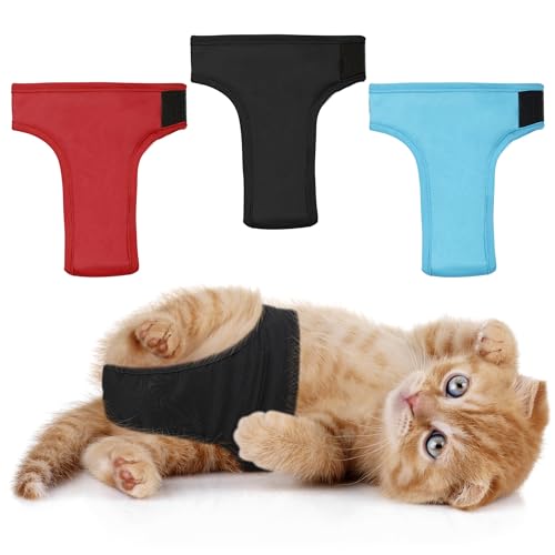 Diapers for Cats The 15 best products compared Wild Explained