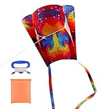 31Inch Colorful Rainbow Pocket Kite, Easy Flyer Kite with Long Tail and String Line, Not Need to Assemble, Beach Game and Outdoor Activity for Beginners, Kids and Adults(Style 1)