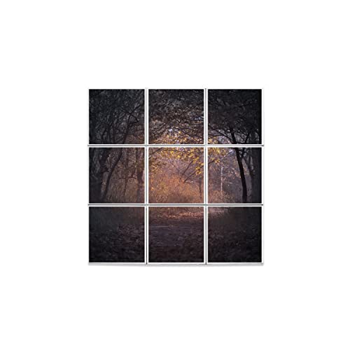Carreaux Céramique Décoratif Forêt Automne pour intérieur cosy