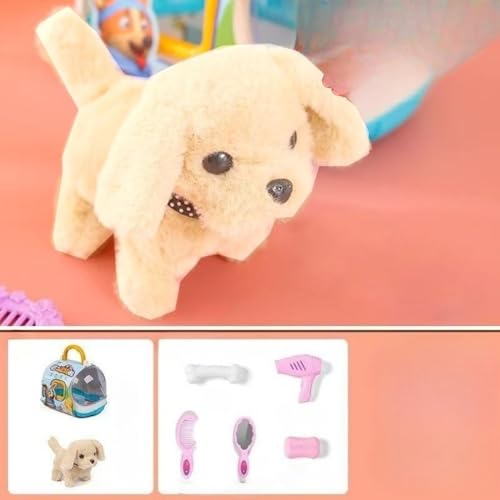 Hxuoluedʂ݁iEEqEefBj tybgPAZbg bEUEaEeE҂ mߋ jp v[gp (dS[fgo[) [sAi]