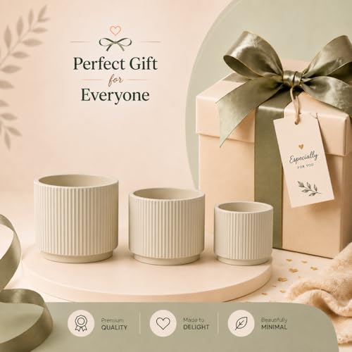 Image of Xtore Atelier Ceramic Ribbed Planter Set | Minimal Vertical Groove Plant Pots for Home, Office & Living Room Decor - (Set of 3, Beige,Planter ONLY)