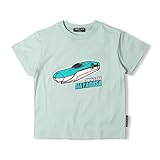 [ハングリーハート] HH25ﾃﾝｼﾞｸｼﾝｶﾝｾﾝT LGR 110