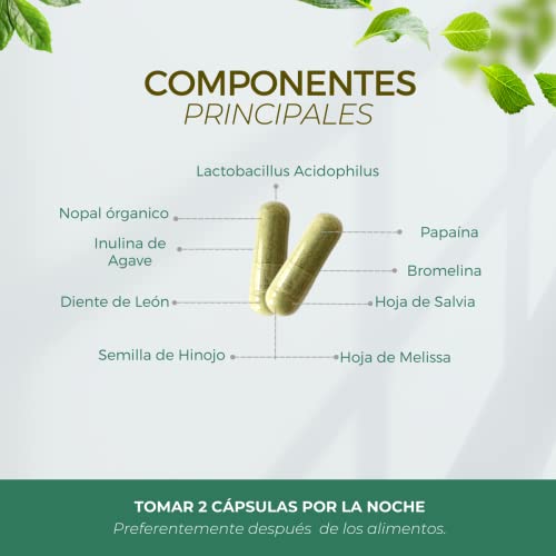 Probióticos, Imagen adicional