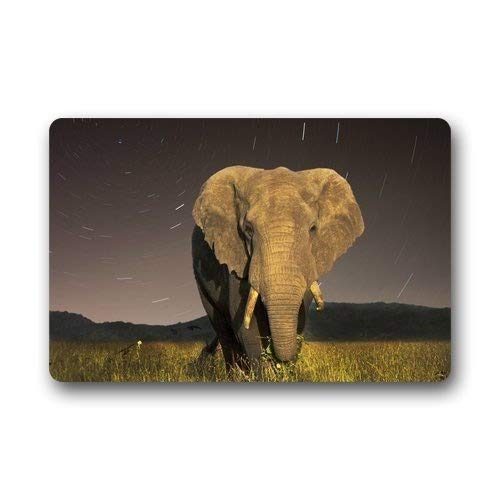 ZMvise Paillasson en flanelle avec dos en caoutchouc antidérapant durable pour intérieur et extérieur, motif éléphant Love sauvage, 15,7 x 59,9 cm