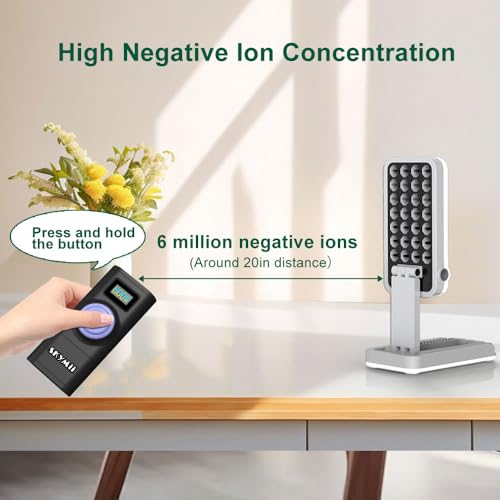 Generador portátil de iones negativos de 600W miniatura 3